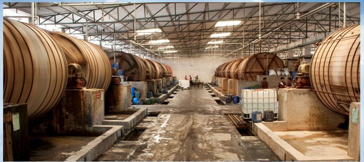 Leather and Garment Processing Plant