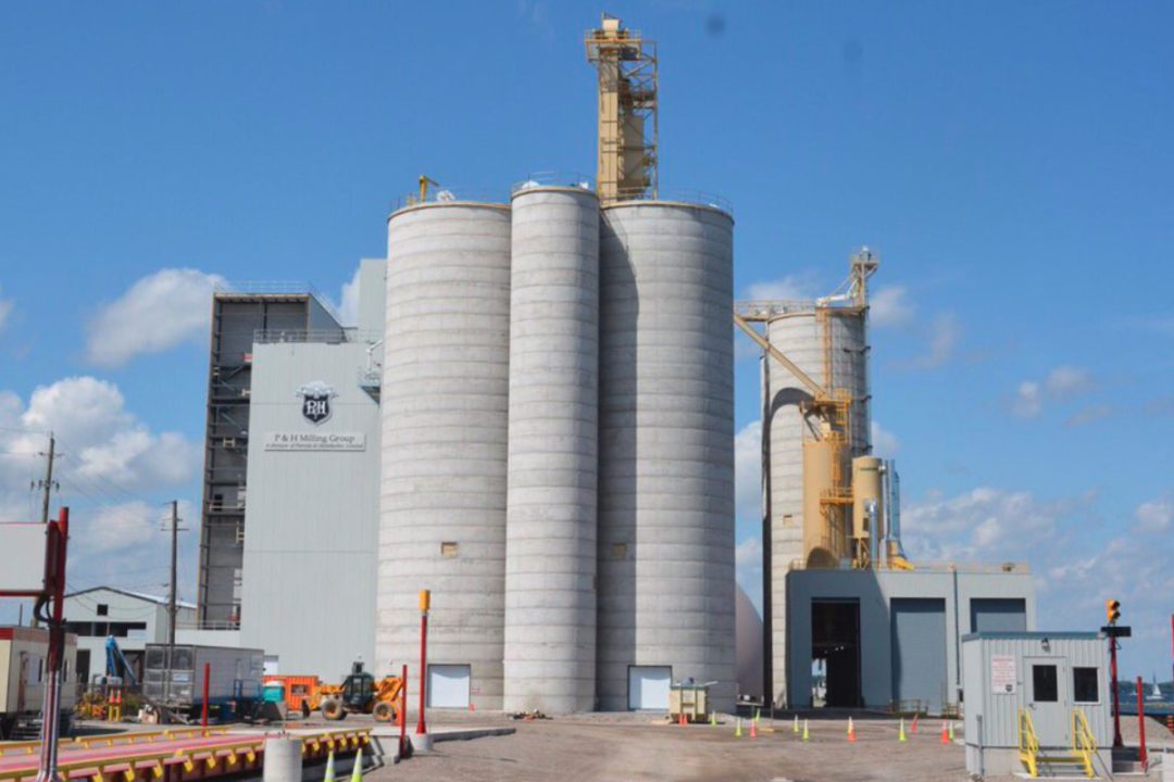 Project Financing for Large and Medium scale Flour Mill Plant - Havelet ...