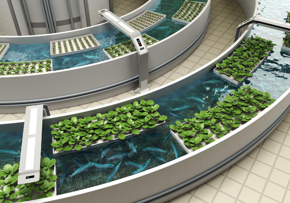 vertical Farming