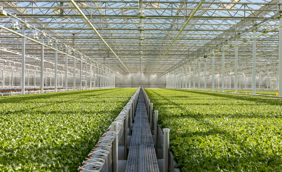 Greenhouse Farming financing